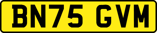 BN75GVM