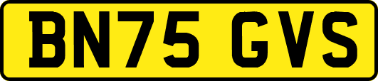 BN75GVS