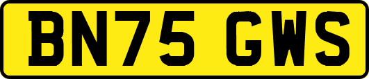 BN75GWS