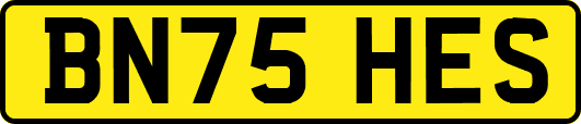 BN75HES
