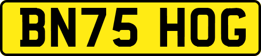 BN75HOG