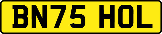 BN75HOL