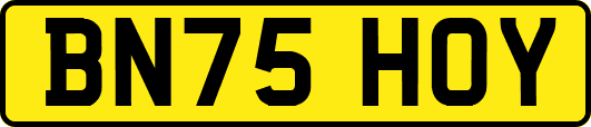 BN75HOY
