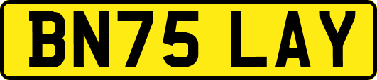 BN75LAY