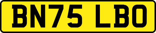 BN75LBO