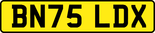 BN75LDX