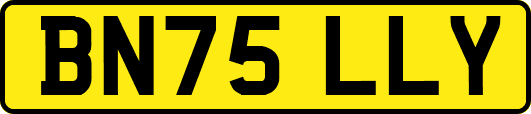 BN75LLY