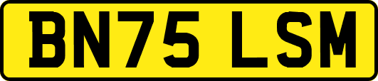 BN75LSM