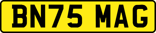 BN75MAG