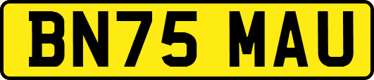 BN75MAU