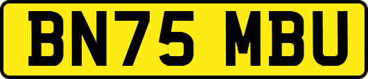 BN75MBU