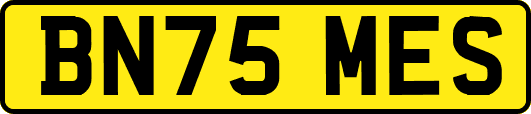 BN75MES