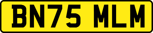BN75MLM