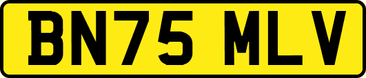 BN75MLV