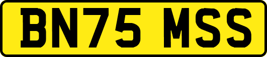 BN75MSS