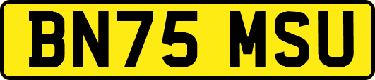 BN75MSU