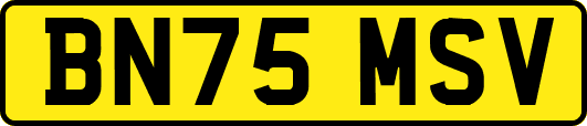 BN75MSV