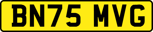 BN75MVG