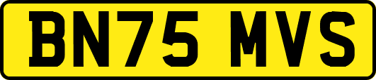 BN75MVS