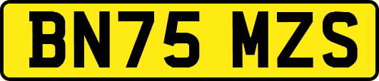 BN75MZS