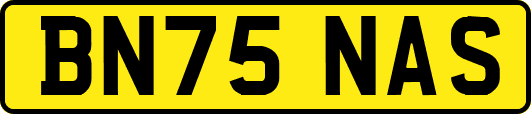 BN75NAS