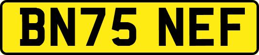 BN75NEF