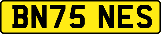 BN75NES