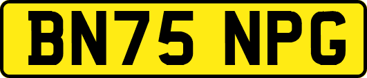BN75NPG