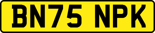 BN75NPK