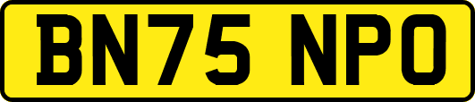 BN75NPO