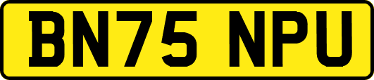 BN75NPU