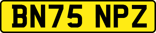 BN75NPZ