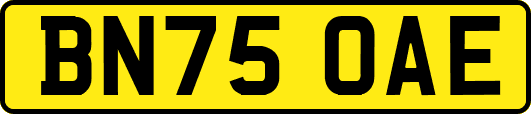 BN75OAE