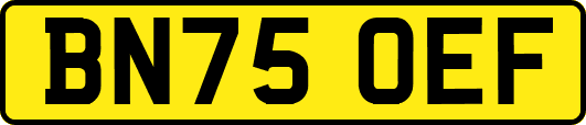 BN75OEF