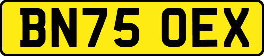 BN75OEX