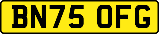 BN75OFG
