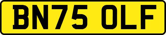 BN75OLF