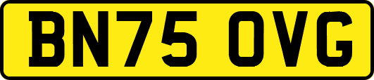 BN75OVG