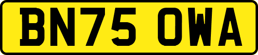 BN75OWA