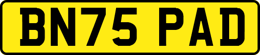 BN75PAD