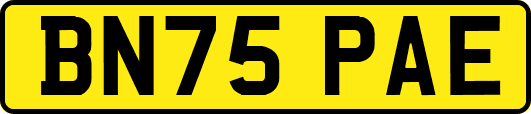 BN75PAE
