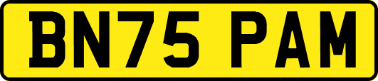 BN75PAM
