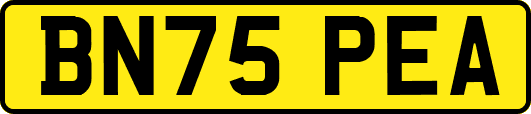 BN75PEA