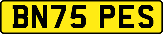BN75PES