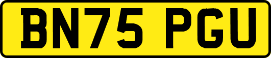 BN75PGU