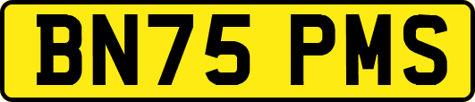 BN75PMS