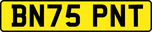 BN75PNT