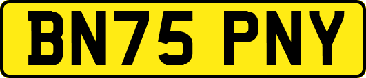 BN75PNY