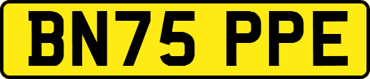 BN75PPE