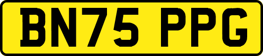 BN75PPG